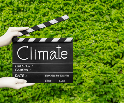 smei climate change marketing